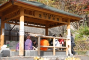 DSC_0037.JPG