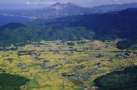 dn7.jpg
