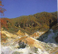 do06nobo.jpg