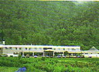 dh05tesi.jpg