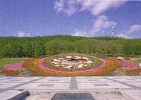 dt02oto.jpg