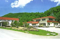 dth02.jpg